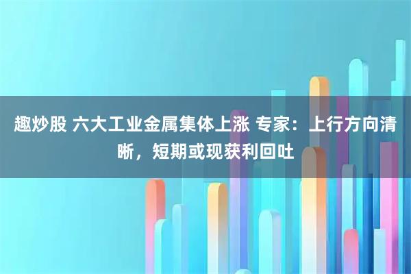 趣炒股 六大工业金属集体上涨 专家：上行方向清晰，短期或现获利回吐