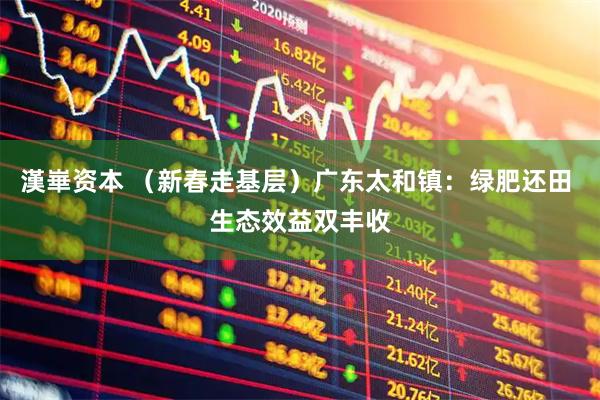 漢崋资本 （新春走基层）广东太和镇：绿肥还田 生态效益双丰收