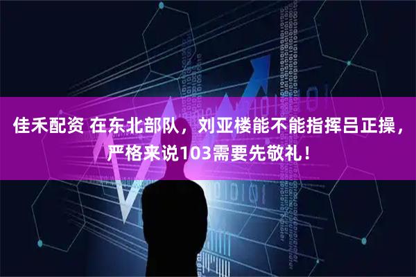 佳禾配资 在东北部队，刘亚楼能不能指挥吕正操，严格来说103需要先敬礼！